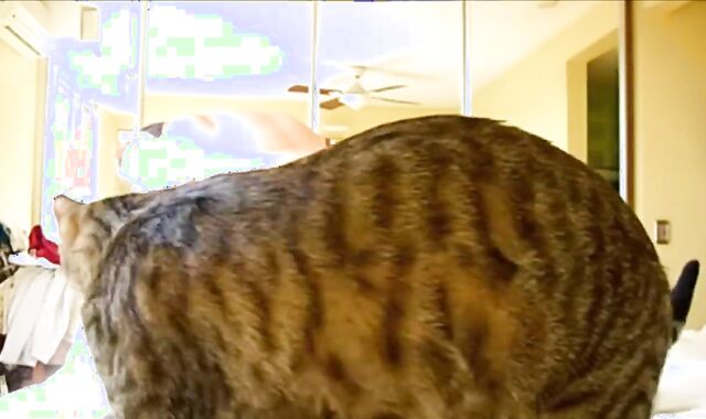 Bed banging my FleshLight in the red-hot winter sun!