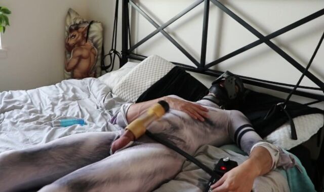 Pup clad in petsuit shoots a fountain enormous using Venus 2000 milker