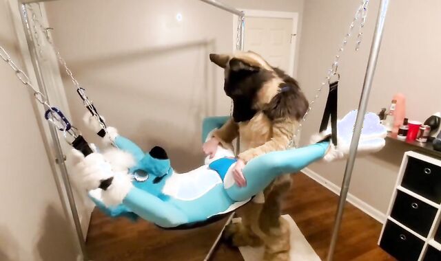 Getting knotfucked in the sling by a strung up shep