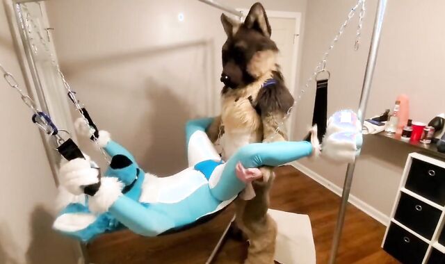 Getting knotfucked in the sling by a strung up shep