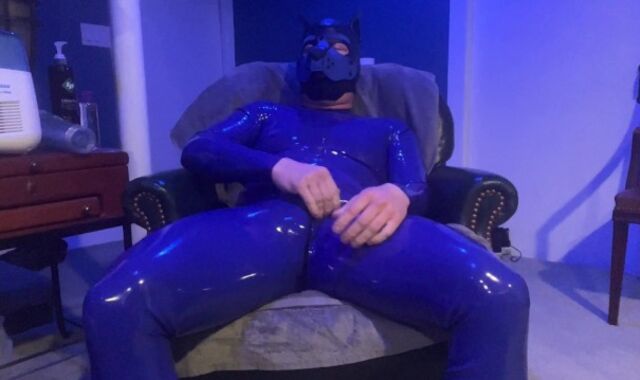 Blue Enjoy Mitten Pup Frolicking