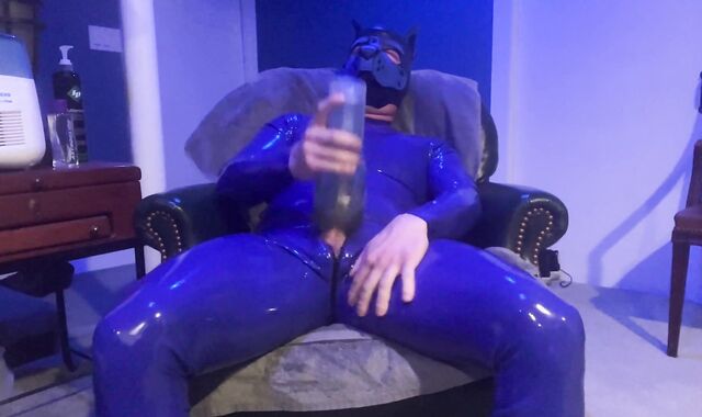 Blue Enjoy Mitten Pup Frolicking