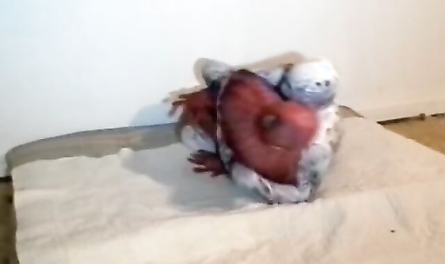 spiderman smashed by his spider enemy