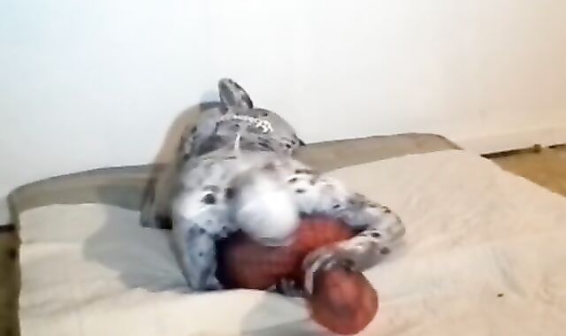 spiderman smashed by his spider enemy