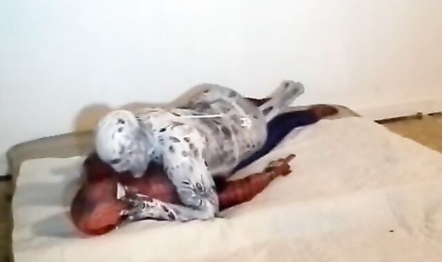 spiderman smashed by his spider enemy