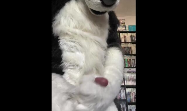 Eclipse Husky Jack Off and Spunk Shot