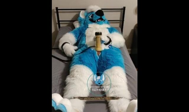 Murrsuiter strokes himself