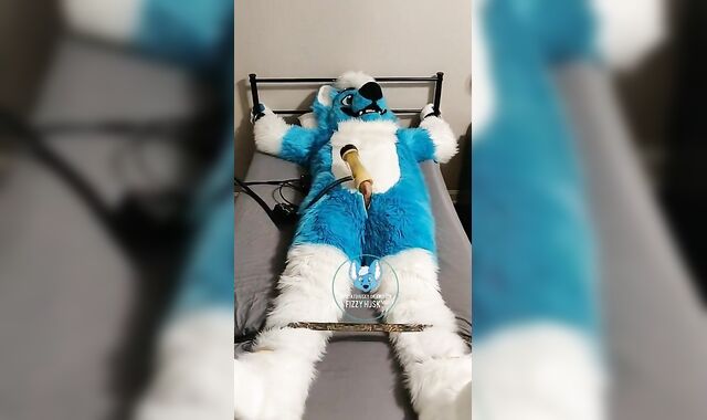 Murrsuiter strokes himself