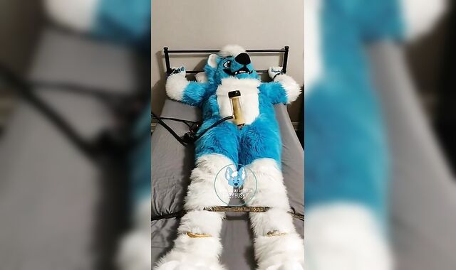 Murrsuiter strokes himself