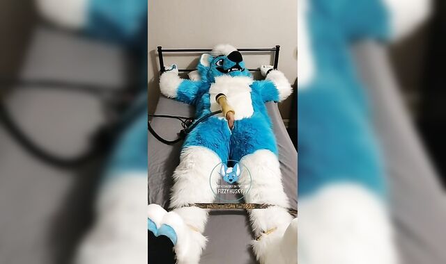 Murrsuiter strokes himself