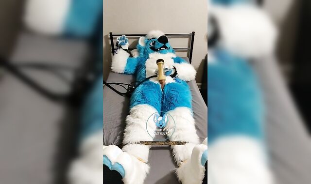 Murrsuiter strokes himself