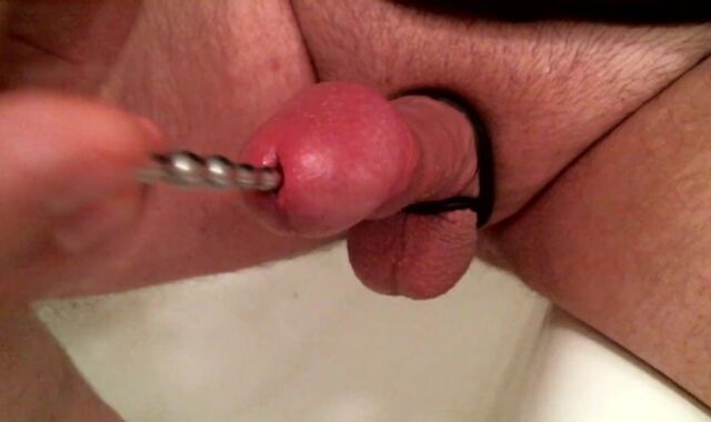 deep urethral sounding and cumming