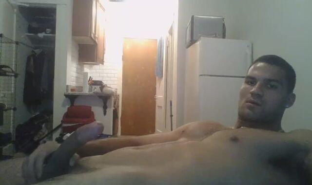 Tall prettily-shaped wolf enjoyments himself at home