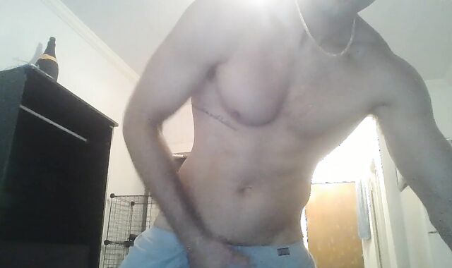 Tall prettily-shaped wolf enjoyments himself at home