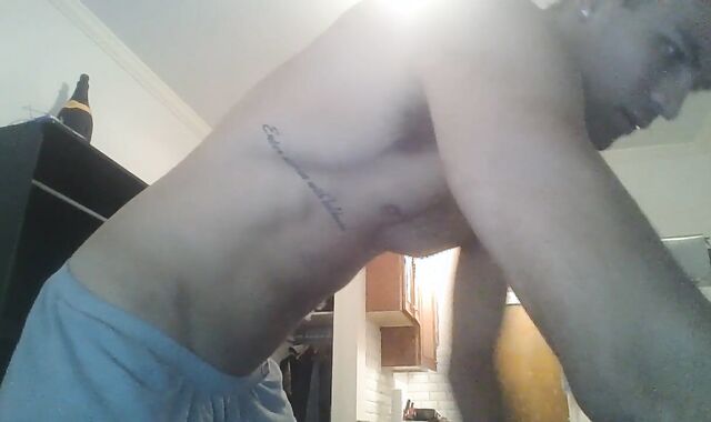 Tall prettily-shaped wolf enjoyments himself at home