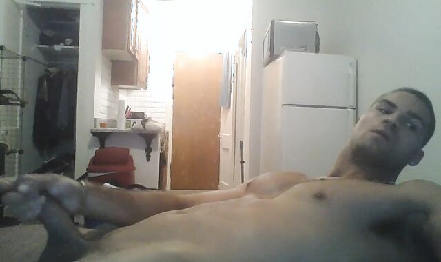 Tall prettily-shaped wolf enjoyments himself at home