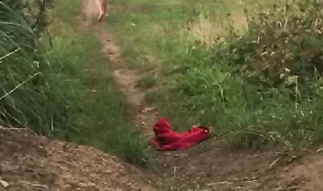 Compilation of a guy getting naked in public