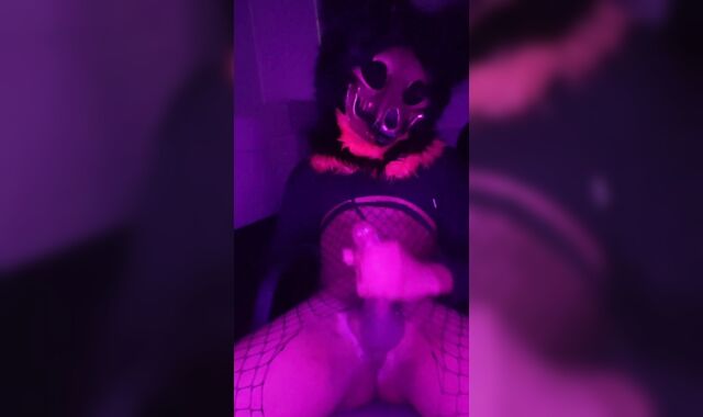 Solo skull dog male tugging in office and blows a explosion