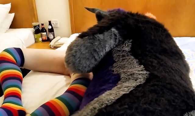 Bull fursuiter inhales off and gets bred by pent up Bird suiter