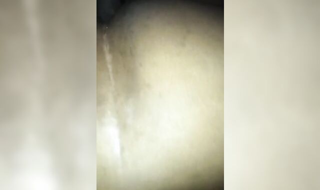 New Years Day ravage down and breeding.