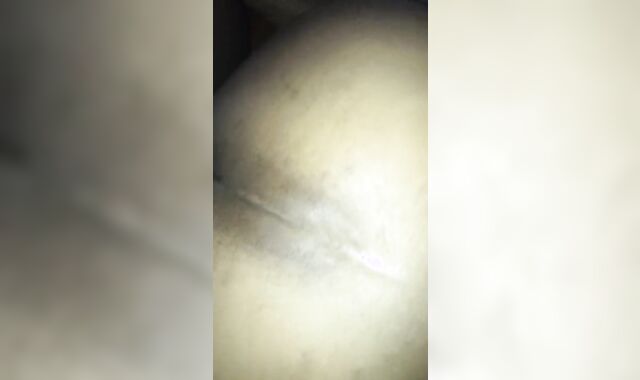 New Years Day ravage down and breeding.