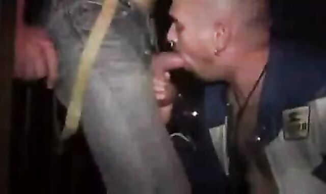 Berlin tear up doxies