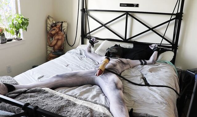 Pup in petsuit gets tied up and stroked using a Venus 2000