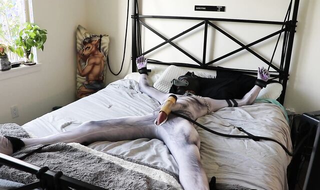 Pup in petsuit gets tied up and stroked using a Venus 2000