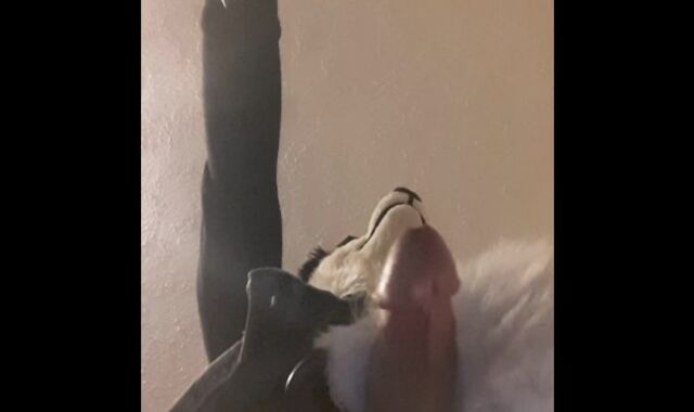 murrsuit spunk compilation