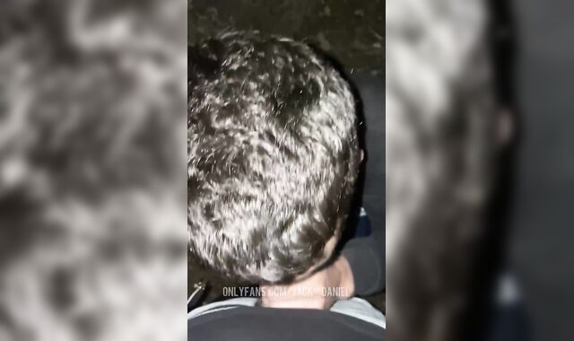 A nubile stud fellated me in the woods, I cum on his face