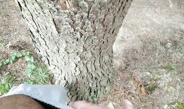 Exhibitionist Walks Bare, Gropes His Hefty Hard-On with the Tree, and His Batter Comes Out Slowly