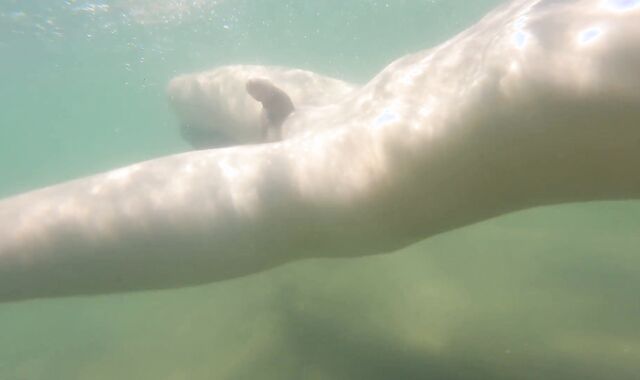 I spunk just for the delight of perceiving free-for-all-for-all, naked on a public beach