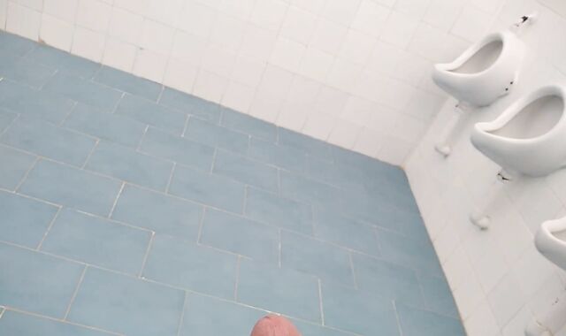 Stud With Hefty Penis Takes A Risk In The Public Toilets By The Pool