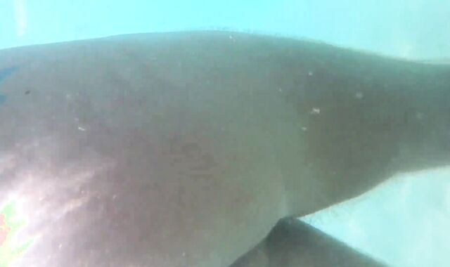 Queer public extreme Cruising Sitges | 2020 with Vadim Romanov MEATY Knob Inward Climax Sans A Rubber Strangers Outdoors FREE-FOR-ALL-FOR-ALL FULL FLICK