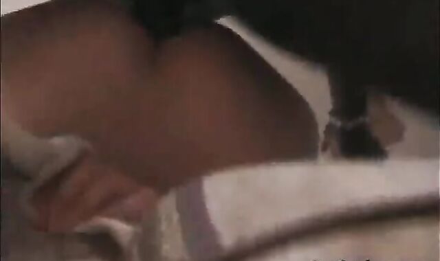 favourable white gay deep-mouth and hammer two yam-sized dark schlongs