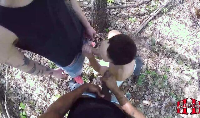 three-some In University