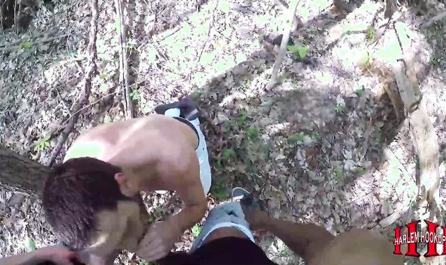 three-some In University