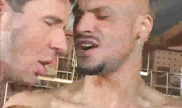 two yam-sized schlongs wedge A Bottom