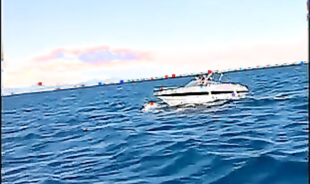 three faggot paramours gargle And tear up