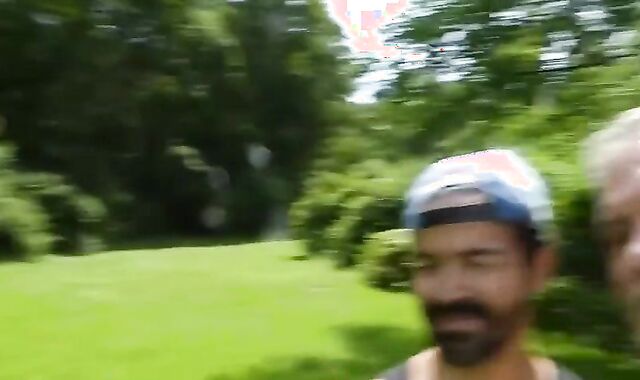 Three Lil'' Pigs In The Woods