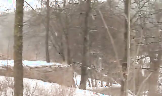 Scouts On Winter Camp