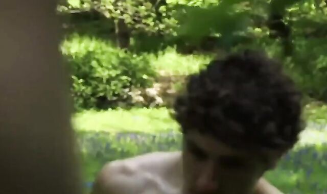 sleazy pound In A Park - Dillon, Taylor & Calvin