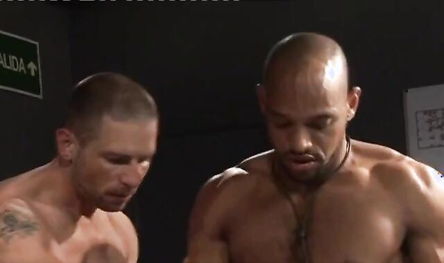 Fred Faurtin, Ivo Costa And Carioca (TTIB P3)