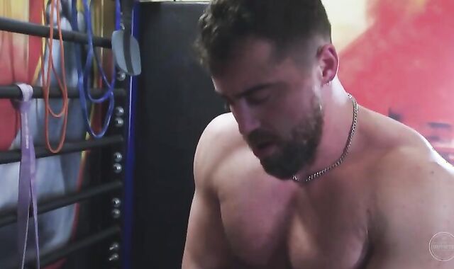 trio Bulls ???Having A Stream!