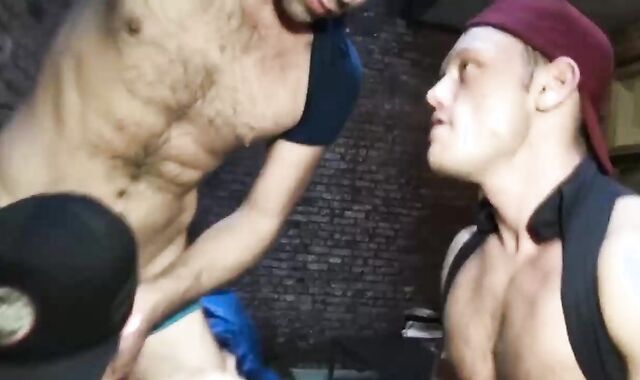 Trio Bears wet As doxies