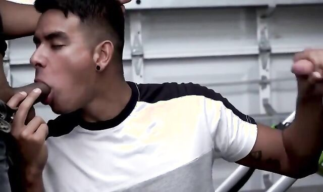 Helping Palm - Jay, Leo And Tim