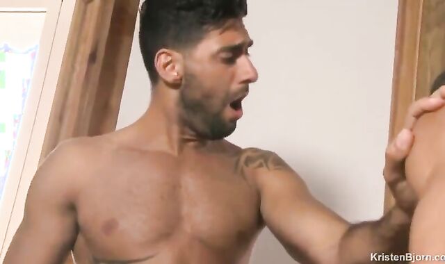 pumped up fellow-horses In Suits