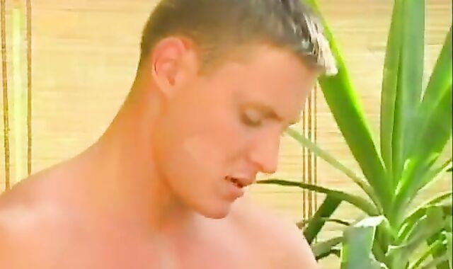 3 stellar boys absorbing spears On The Garden