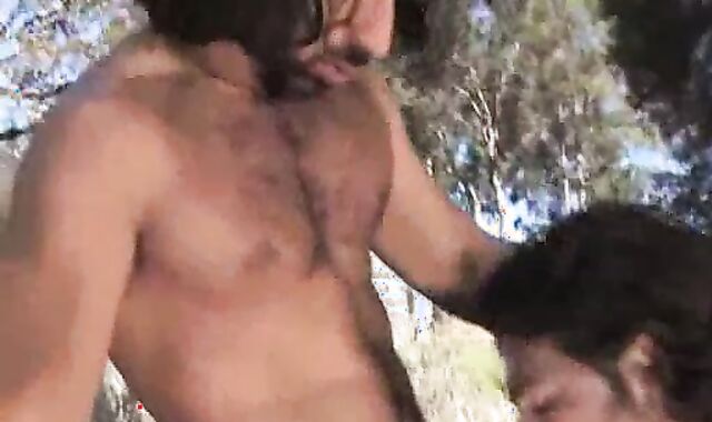 Aybars, D.O. And Dacid V.