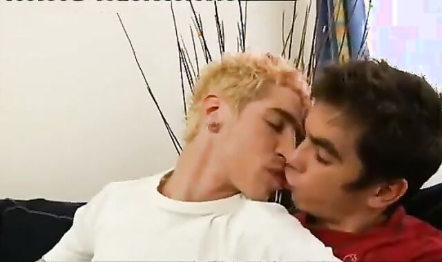 four BB faggot Party